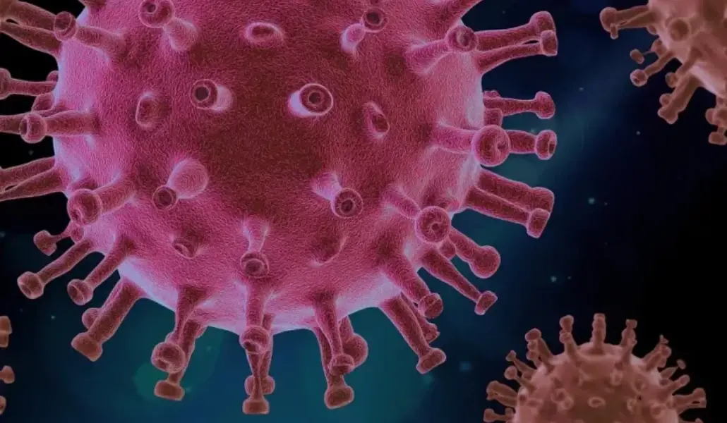 կորոնավիրուս 6871շ