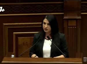 Рекомендую прежде чем войти в НС выпить успокоительные: Степанян - оппозиции