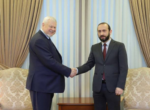 Արարատ Միրզոյանն  ԵԱՀԿ գործող նախագահի անձնական ներկայացուցչին ներկայացրել է Փառուխ գյուղի հատվածում իրավիճակը