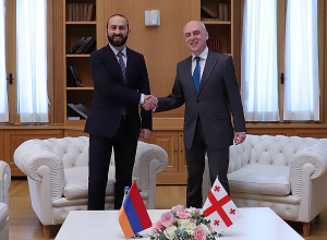 Мирзоян проинформировал вице-премьера Грузии о ситуации в селе Парух НК