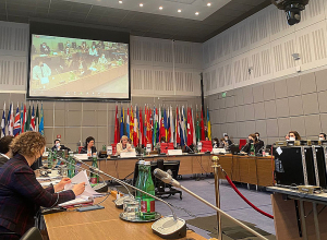 Присутствие ВС Азербайджана создает гуманитарные проблемы для приграничных жителей РА: представитель Омбудсмена