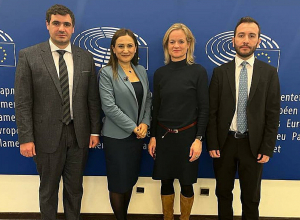 Продолжаются встречи членов фракции НС ГД в Европарламенте