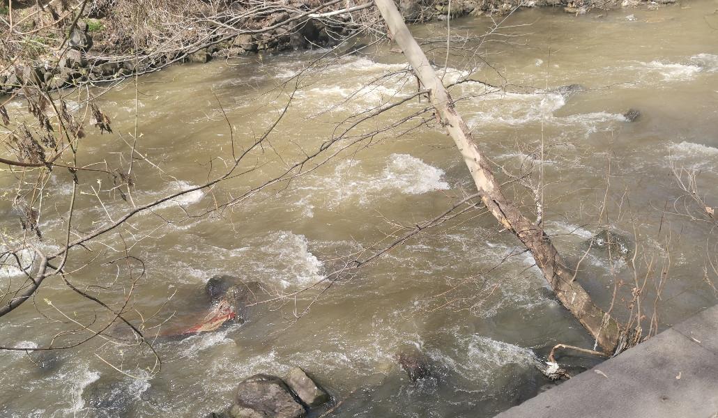 river