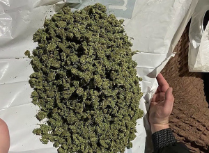 Дочь отпустили, а отца арестовали