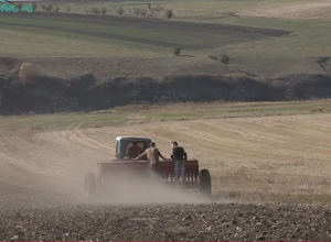 Լոռիում հուսահատվածները շատ են, բայց ապահովագրելը ամենաճիշտն են համարում