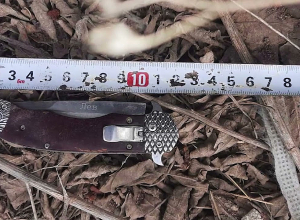 Спрятавшийся хозяин дома ударил молотком по голове вошедшего человека