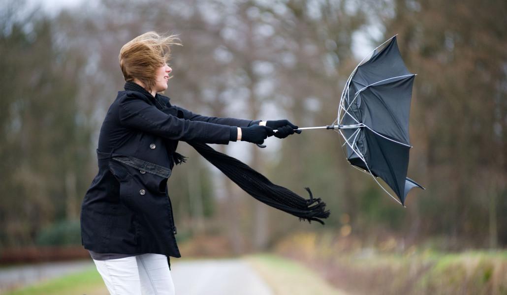 wind