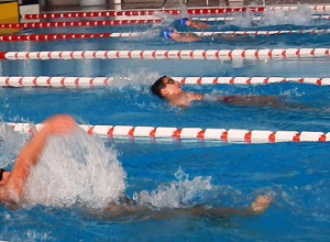 Հայաստանի լողորդները ռեկորդներ են սահմանել