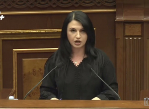 Թղթի վրա ոչ թե մեկ փիղ, այլ երկու առյուծ նկարեք ու պատառոտեք․ Ստեփանյանը՝ ընդդիմությանը