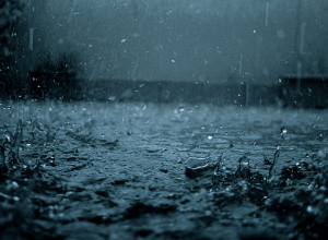 Ожидаются дожди, грозы и усиление ветра