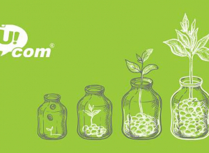 3 պատճառ, թե ինչու ձեռք բերել պարտատոմսեր՝ աշխատելով ընկերությունում