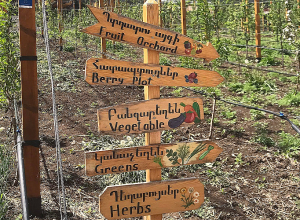 Հողից մինչև շուկա․ սովորեցնում են Հովքի ուսուցման կանաչ կենտրոնում (լուսանկարներ)