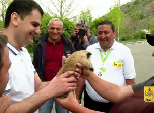 Նոր բարեփոխումներ և նոր լուծումներ են սպասվում կենդանաբանական այգում