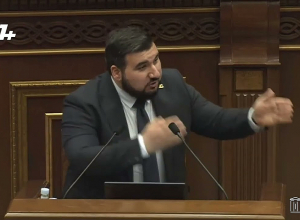 С оппозицией я стану обсуждать только форму  аквариума в моём кабинете: Алексанян о тайных связях