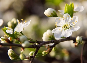 Температура повысится на 5-7 градусов