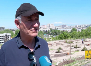 Ծիծեռնակաբերդի բարձունքի՝ համայնքին պատկանող տարածքում արդեն իսկ 420 ծառ և թուփ է տնկվել