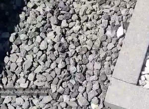 Պարեկները օտարերկրացիների են բերման ենթարկել