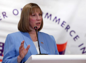 Посол Трейси о призывах оппозиции: Армения без Трейси