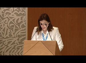 Անահիտ Ավանեսյանը Առողջապահության համաշխարհային 75-րդ վեհաժողովին հանդես է եկել ելույթով