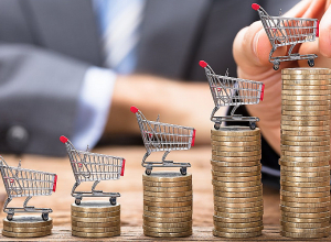 Գնաճի տեմպն արագանում է բավական մեծ քայլերով․ «Լույս» հիմնադրամ