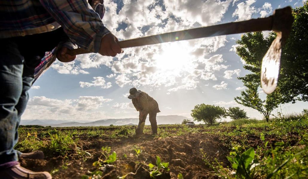 գյուղատնտեսական աշխատանքներ