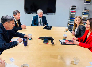 Во время своих встреч в Вашингтоне Кристинe Григорян подчеркнула необходимость реформы полиции