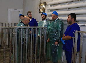 Վահան Քերոբյանն այցելել է Խոզերի գենետիկական կենտրոն