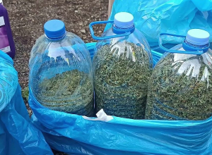 Արկղերով կանեփ, պլաստմասե շշեր՝ կանեփանման զանգվածով․ Շիրակի մարզի պարեկների բացահայտումը