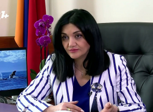 Ինչպես է աշխատելու առողջության պարտադիր ապահովագրության համակարգը