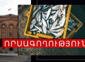 15 կարմրախայտ, ռետինե կիսաճտքավոր կոշիկներ և մարտկոց․ որսագողության դեպքը բացահայտվեց