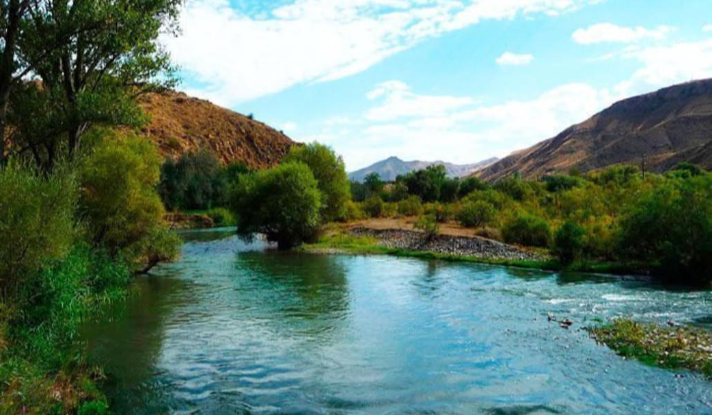 արաքս