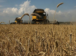 Արգելվել է հացահատիկի արտահանումը Արցախի Հանրապետության տարածքից