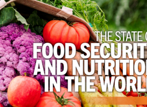 ՄԱԿ-ի զեկույց. Սովի համաշխարհային ցուցանիշն աճել է 2021 թվականին՝ հասնելով 828 միլիոնի