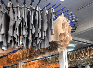 Վեց ամսով կարգելվի Հայաստանից անասունների, ոչխարների ու ձիերի անմշակ կաշվի արտահանումը