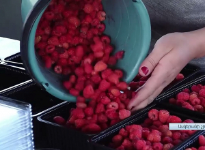 Президент Арутюнян ознакомился с возможностями современных садов Аскеранского района