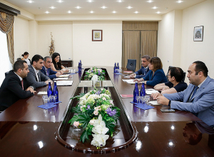 Հրաչյա Սարգսյանը հանդիպել է Հայաստանում ՄԱԶԾ մշտական ներկայացուցիչ Նաթիա Նացվլիշվիլիի հետ