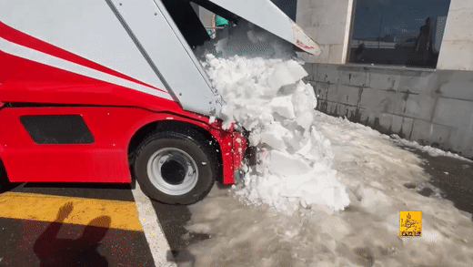 Ամառային ձնագնդի՝ Գեղասահքի և հոկեյի մարզադպրոցում.