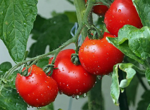 Օդորակչի ջերմաստիճանը մի՛ իջեցրեք 20-ից ցածր, որպեսզի սարքը չծախսի ավելորդ էլեկտրաէներգիա