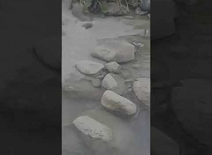 Ողջի գետում   բաց հանքի ծանր մետաղներով հագեցած ջուրը է հոսում.  ԱՀԱԶԱՆԳ