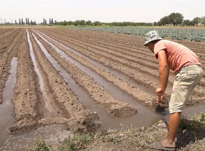 Ոռոգման համակարգերի արդիականացում 50 միլիոն դոլարով