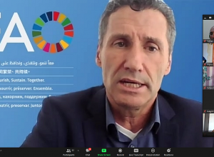 ՄԱԿ-ի ՊԳԿ ծրագիրը նպաստելու է գյուղատնտեսության ոլորտում կլիմայական գործողությունների խթանմանը