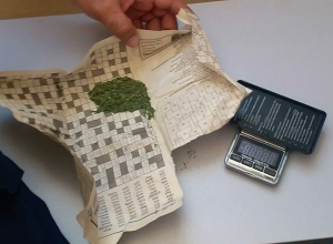 Աշխատավայրում կանեփ էր աճեցրել․ Կապանի ոստիկանների բացահայտումը