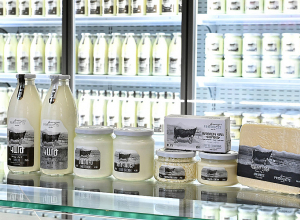 Yeremyan Products-ի կաթնամթերքում հակաբիոտիկներ չկան․ պարզաբանում