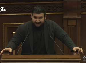 Օգտակար ապուշ․ նրանք շատ վտանգավոր են․ մերժեք բոլոր տականքներին․ Ալեքսանյան