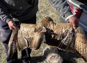 Во время ночной службы полицейские раскрыли случай браконьерства