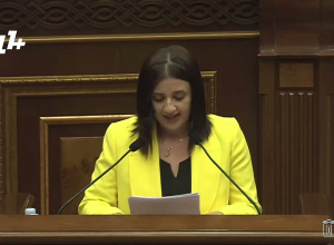 Տեղին չեն Վահագն Հովակիմյանի մասին արհեստածին մտահոգությունները․ Էմմա Պալյան