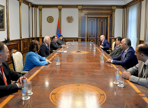 Ваагн Хачатурян принял онколога, академика Ивана Стилиди