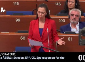 Я видела видеозапись пыток армянской женщины-военнослужащей: Бориана Оберг, Швеция