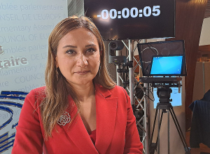 В ПАСЕ прозвучала адресная критика; возможно, это в определённой степени сдержит Алиева: делегат от Армении