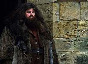 Умер сыгравший Хагрида в «Гарри Поттере» Робби Колтрейн